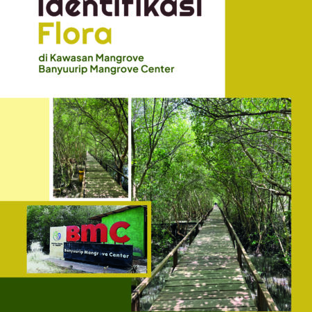 Identifikasi Flora di Kawasan Mangrove Banyuurip Mangrove Center